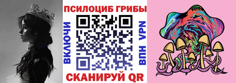 omg tor  Бородино  Псилоцибиновые грибы прущие грибы 